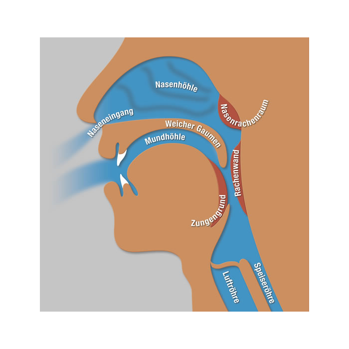 Dr. Zieger Zahnarzt Praxis Bonn Beuel Schnarchtherapie